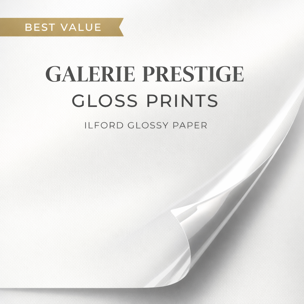 Galerie Prestige Gloss