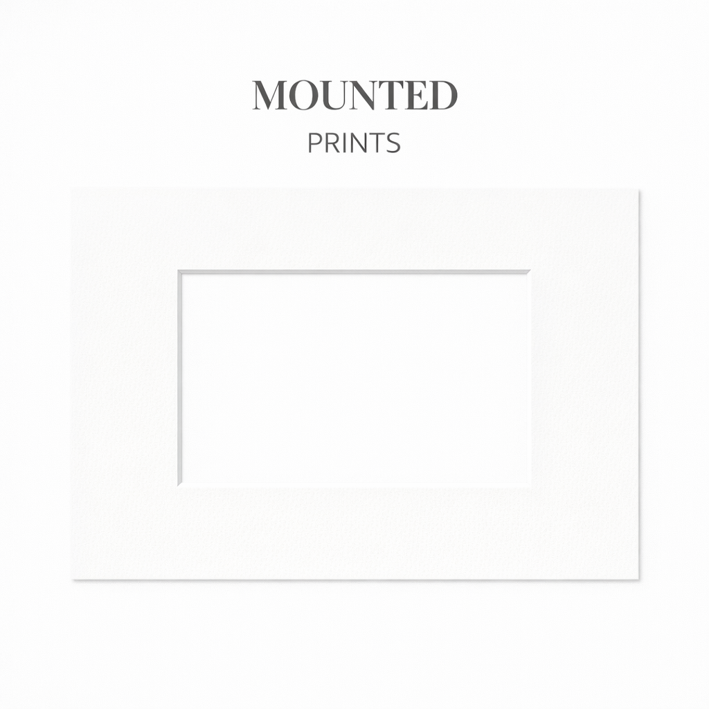 Mounted Prints